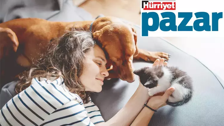Evcil Hayvan Bakımında Sorumluluk: Mesele İyi Bir Ebeveyn Olabilmek