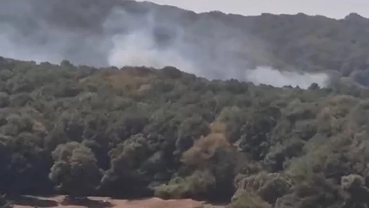Sarıyer Zekeriyaköy’de orman yangını: Havadan ve karadan müdahale sürüyor
