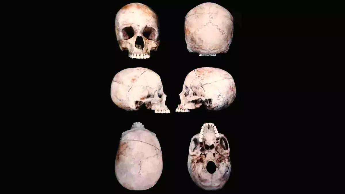 Yüzlendirme ve DNA Çalışması Sonuç Verdi: 10 Yıllık Cinayetin Faili Ortaya Çıktı