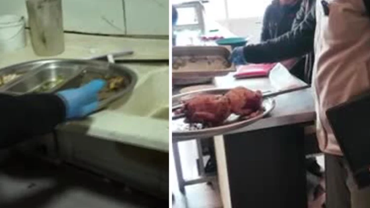 Hatay’da Tavuk Döner İşletmesine Hijyen Mühürü: Denetimde Skandal Görüntüler Ortaya Çıktı