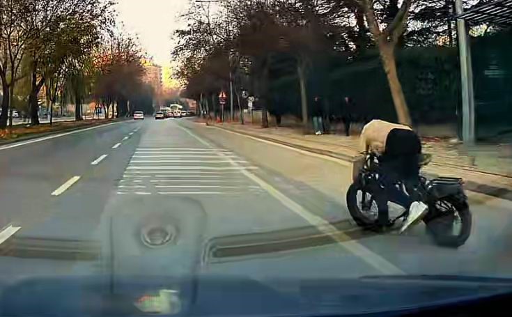 Konya’da Bisikletli, Eli Cebinde Giderken Araç Altında Kalmaktan Son Anda Kurtuldu