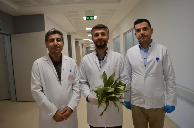 Şeker Hastalığına İyi Gelir Diye Yedi Yoğun Bakıma Kaldırıldı