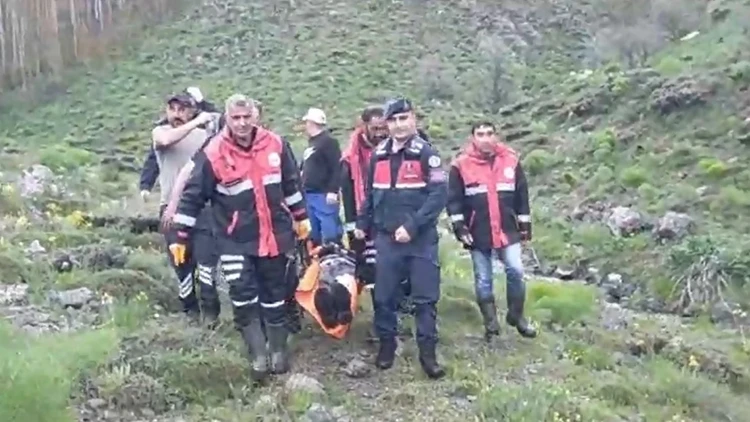 Sivas’ta Mantar Toplarken Ayı Saldırısına Uğradı! Baş Parmağı Koptu
