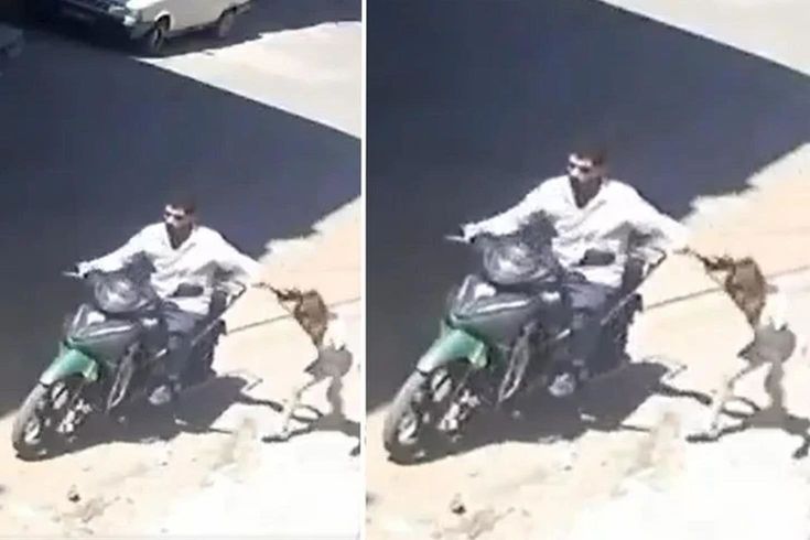 Gaziantep’te Kızını Sürükleyen Babanın 12 Suç Kaydı Ortaya Çıktı