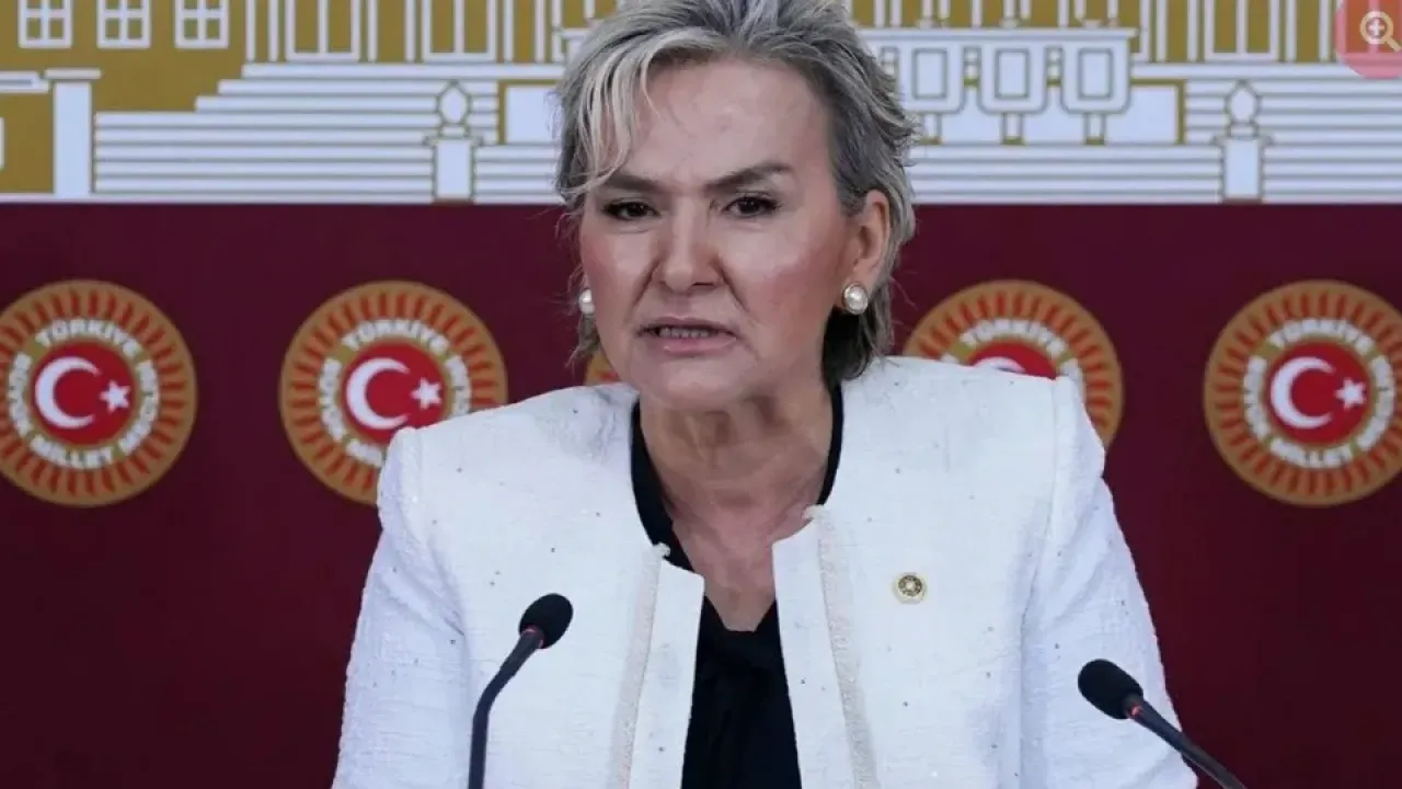 İstanbul Milletvekili Nimet Özdemir Kimdir? CHP’den Neden İstifa Etti?