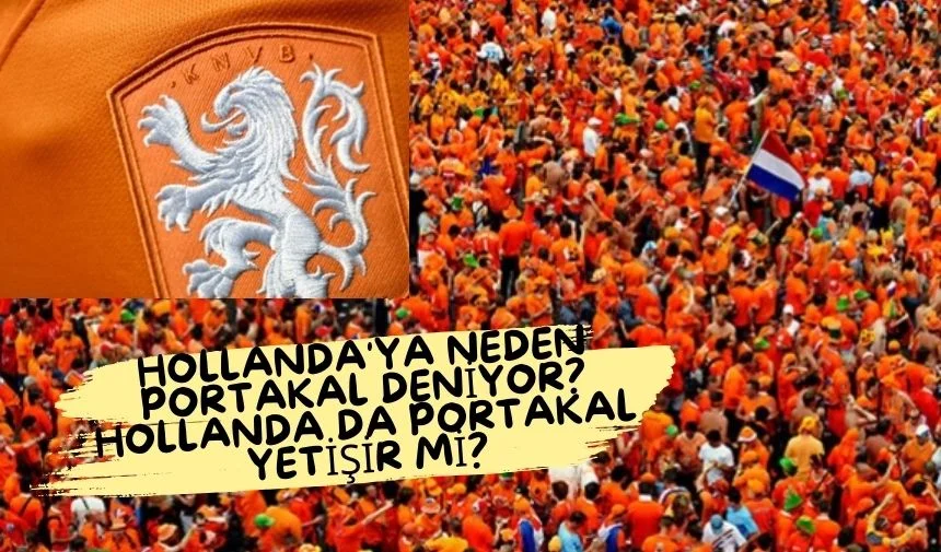 Hollanda’ya Neden Portakallar Deniyor?