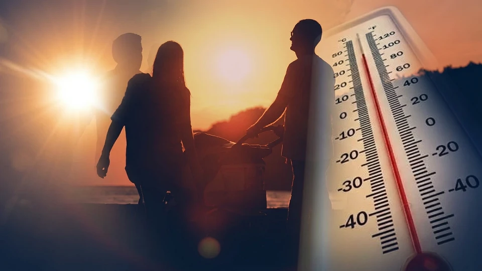 Asya Kaplanı Sivrisineği Isırığı Nasıl Geçer