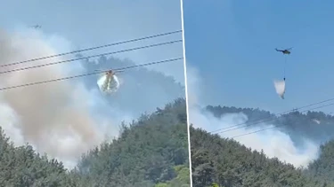 Manisa'da Orman Yangını Alarmı: Ekipler Alevlerle Mücadele Ediyor