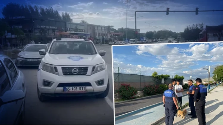 Van'da Kuduz Alarmı: 7 Mahallede Karantina Uygulaması Başlatıldı
