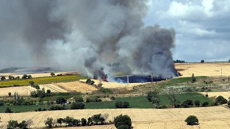 Tekirdağ'da Buğday Tarlasında Yangın! Yaklaşık 100 Dekar Alan Zarar Gördü