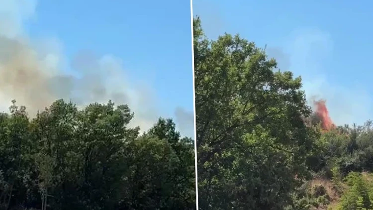 Bursa Kestel'de Orman Yangını Çıktı! Ekipler Alevlere Müdahale Ediyor