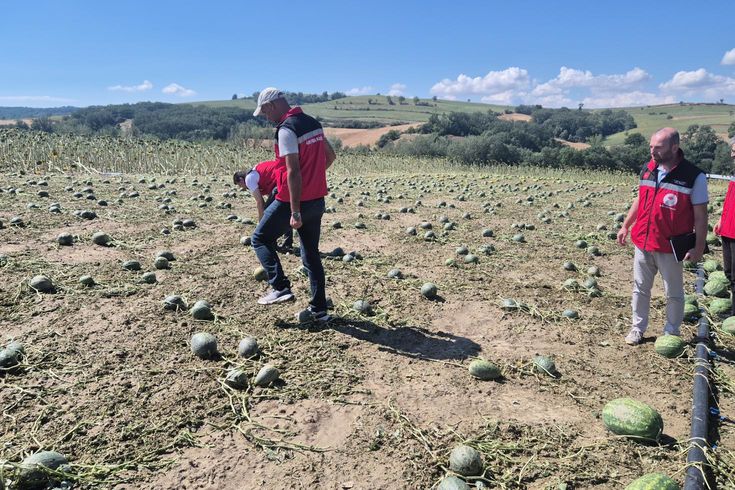 Süper Hücre Tekirdağ'ı Vurdu! 35 Bin Dekarlık Tarım Arazisinde Hasar Oluştu