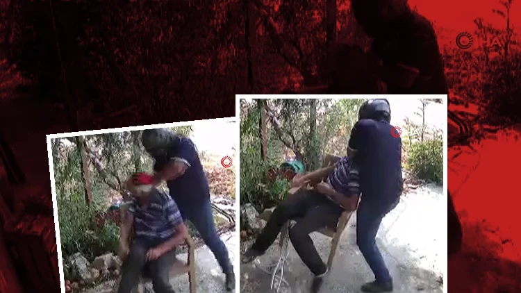 Mersin'de Yaşlı Adama Bahçesinde Saldırı: Şüpheli Tutuklandı