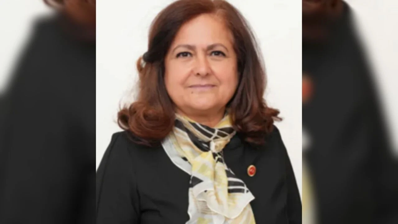  ÜB Başkanvekili Sibel Tan Çetinkaya Kimdir? Siyasi Kariyeri Ve Görevleri Nelerdir? 